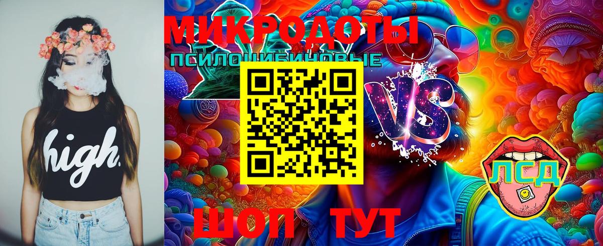 Пенза  купить наркоту  Вход с VPN  Галлюциногенные грибы Psilocybine cubensis 