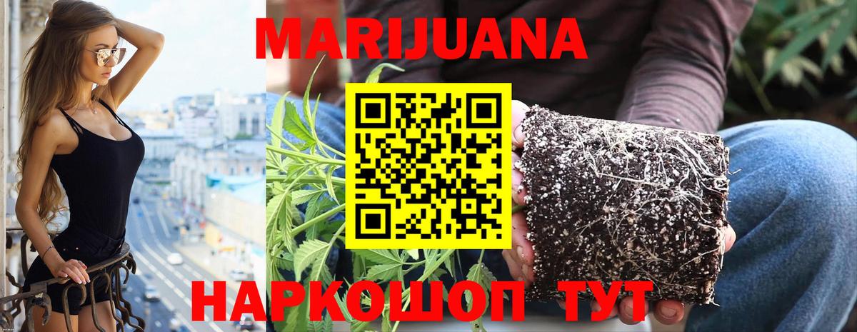 Конопля сатива  Шишки марихуана VHQ  Бошки Шишки гибрид  Канабис план  Вход с VPN  Пенза 
